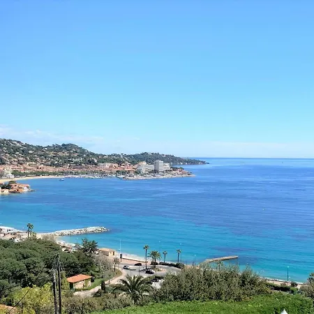 Du Temple D'amour فيلة